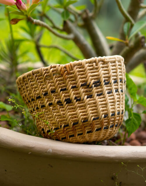 Cesto Motohema (pp) - Yanomami