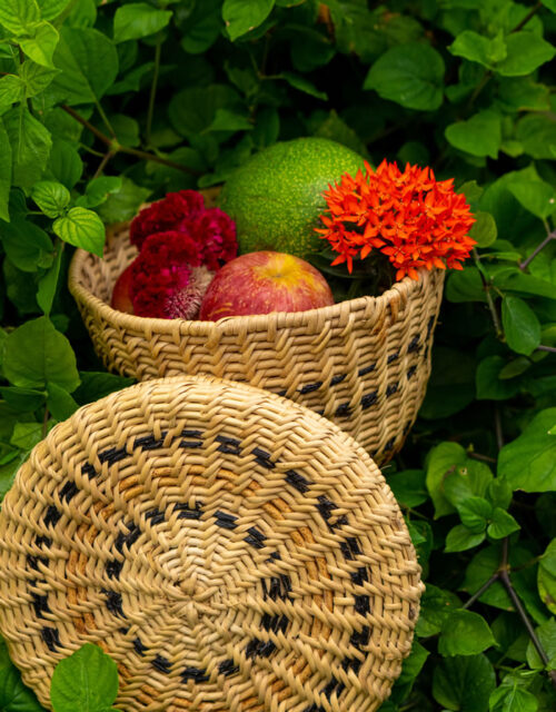 Cesto Motohema (P) - Yanomami