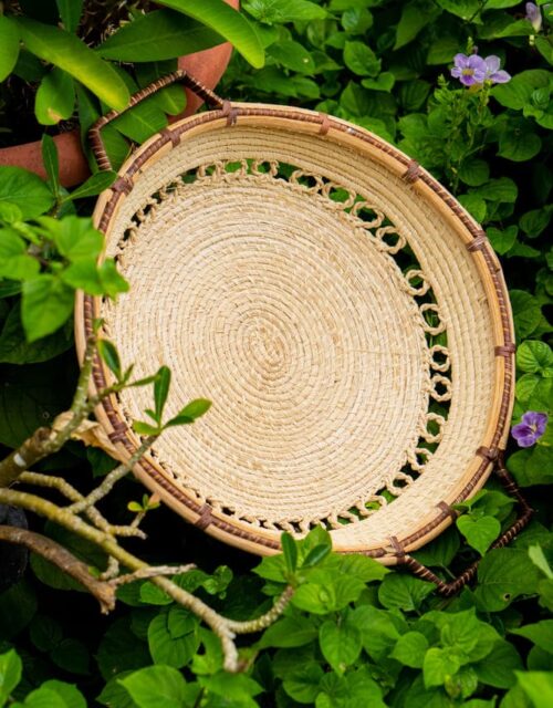 Fruteira (G) - Taurepang