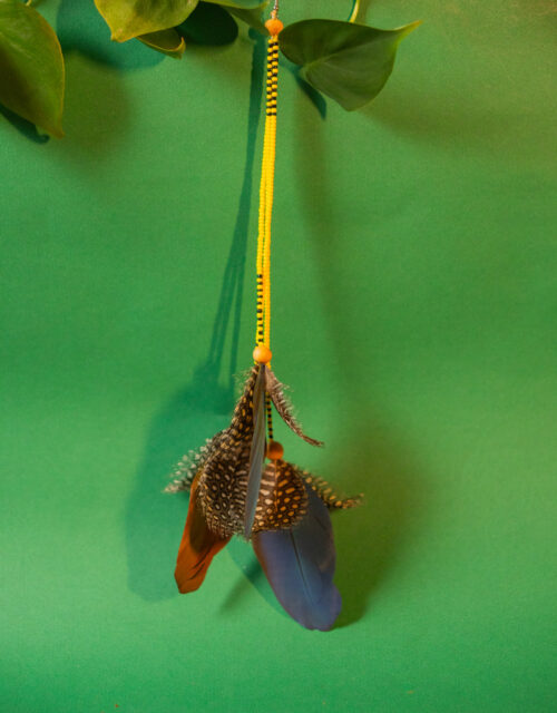 Brinco Pena (G) - Macuxi