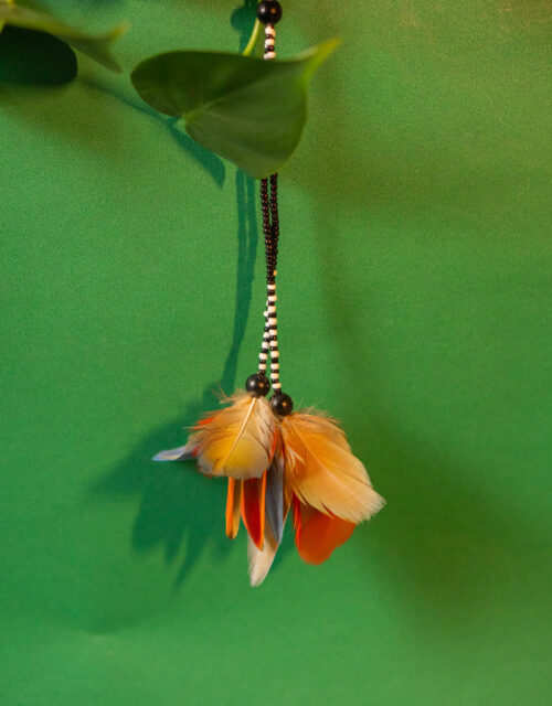 Brinco Pena (P) - Macuxi